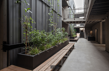 Lush green plant walls with atrium